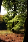 Doorkijkje