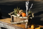 Herfstbakje