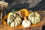 Kalebassen en pompoenen