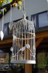 De vogel is gevlogen