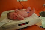 3975 gram