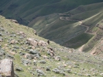 Sani Pass finest