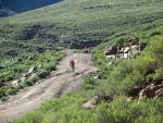On the bike!