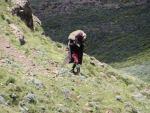 Melusi = The Good Shepherd