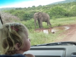 Mommy, this is great