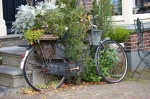 DSC01683.JPG