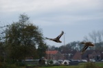 DSC01641.JPG
