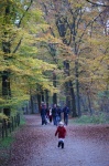 DSC01742.JPG