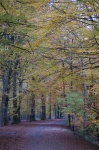 DSC01743.JPG